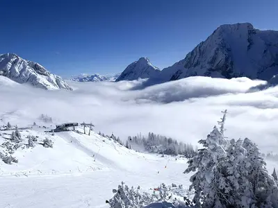 Blick auf die Pisten auf der Ehrwalder Alm © Bernd Ritschel, Ehrwalder Almbahn