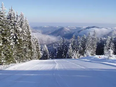 Blick auf eine menschenleere, breite Piste auf der Forsteralm © Forsteralm.com