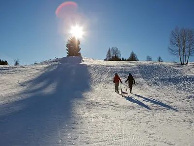 Rodeln am Weissensee © Kärnten Werbung & Steinthaler