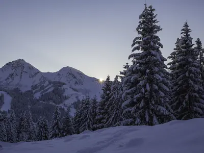 Winterliche Landschaft im Tannheimer Tal © TVB Tannheimer Tal / Kleiner Marc