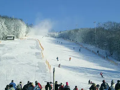 Pistenplan Hohe-Wand-Wiese / Dollwiese