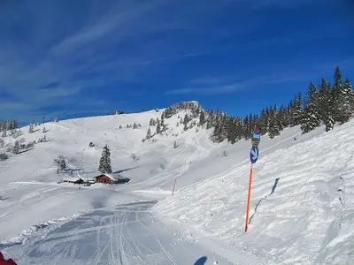 Piste in Gaissau © Gaissauer Bergbahn GmbH