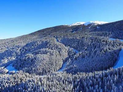 Pisten zwischen den Wäldern © Consorzio Skipass Paganella Dolomiti