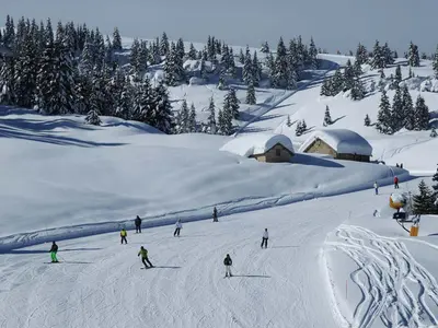 Piste in Folgaria © Folgariaski