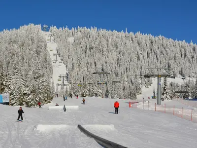 Skitreiben im Skigebiet Sjusjoen Skicenter © Sjusjoen Skicenter