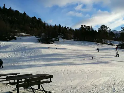 Skifahrer auf den Pisten im Skigebiet Rauland Skicenter © Rauland Skisenter