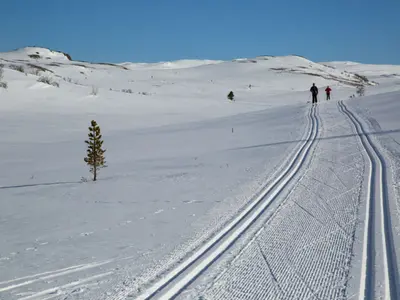 Langläufer im Skigebiet Nesbyen © Nesbyen Alpinsenter