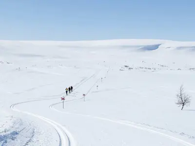 Langlauf © Jocke Lagercrantz / Funäsfjällen
