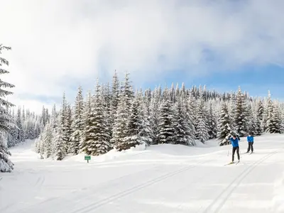 Langlaufen im Skigebiet Sun Peaks © Royce Sihlis