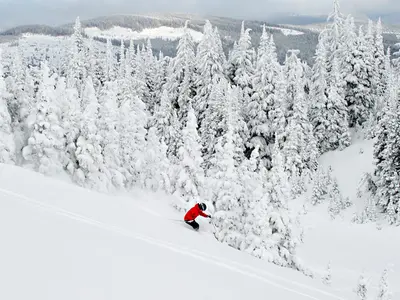 Skifahrer im Skigebiet Sun Peaks © Adam Stein