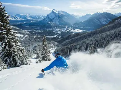 Powdern in Norquay im Skigebiet Banff © Mt. Norquay Banff