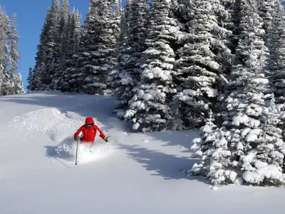 Tiefschneepiste in Marmot Basin © Marmot Basin