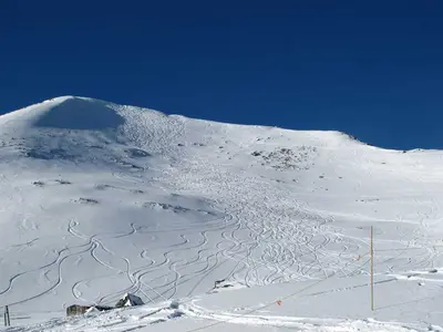 Breite Pisten und herrlicher Schnee  im Skigebiet Marmot Basin © Marmot Basin