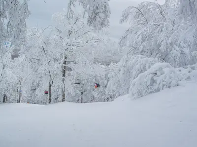 Schneelandschaft Mont Sutton © Mont Sutton