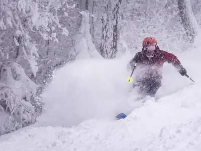 Skifahren bei Neuschnee in Mont Sutton © Mont Sutton / Bernard Brault