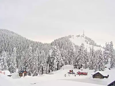 Blick auf den Gipfel von Grouse Mountain © Grouse Mountain Resort