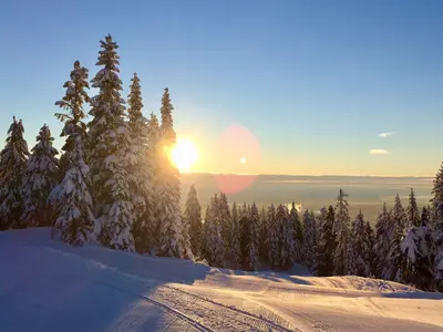 Sonnenschein im Skigebiet Grouse Mountain © Grouse Mountain Resort