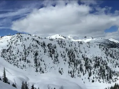 Berge im Skigebiet Kicking Horse in British Columbia © Kicking Horse Mountain Resort
