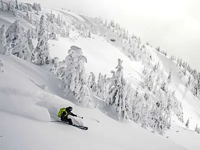Freerider im Revelstoke Mountain Resort © Revelstoke Mountain Resort, Ian Houghton