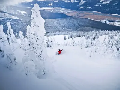 Snowboarder auf einem Treerun im Revelstoke Mountain Resort © Revelstoke Mountain Resort, Ian Houghton