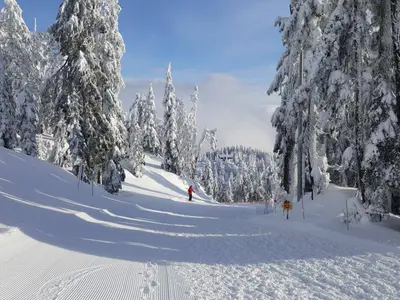 Abfahrt am Cypress Mountain © Cypress Mountain