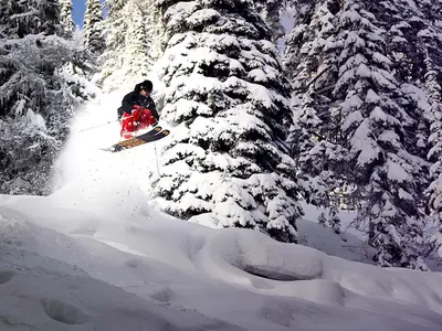 Tiefschneefahren auf einem Treerun © RED Mountain Resort