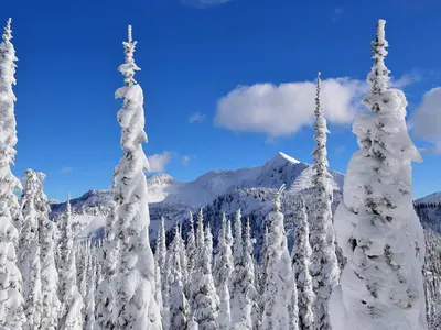 Verschneite Berge im Whitewater Ski Resort © Whitewater Ski Resort