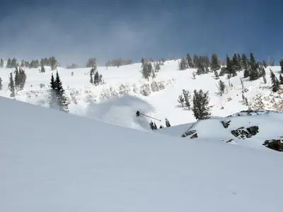 Tiefschneeabfahrt  © Jackson Hole Mountain Resort