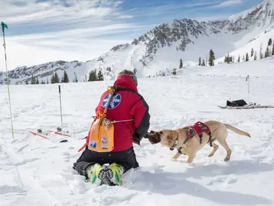 Die Ski Patrol in Snowbird © Snowbird, Matt Crawley