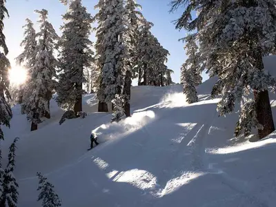 Off-Piste Skifahren in Palisades Tahoe - Olympic Valley © Olympic Valley Alpine Meadows