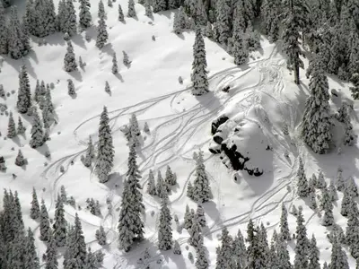 Tree Skiing im Tiefschnee © Northstar California Resort