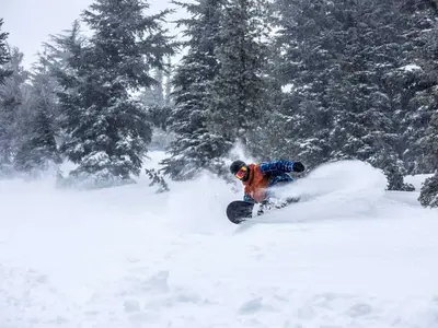 Pulverschnee in Kirkwood © Kirkwood Mountain Resort