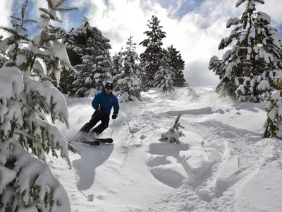 Abfahrt in Bogus Basin © Bogus Basin Mountain Recreational Association