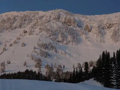 Panorama von Bridger Bowl © Bridger Bowl Ski Area