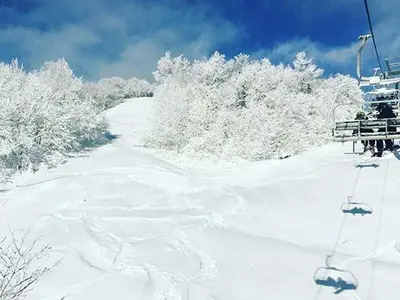 Neuschnee auf den Pisten von Bromley Mountain © Bromley Mountain