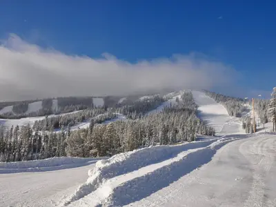 Blick auf die Pisten © Showdown Montana