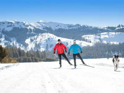 Langlauf mit Hund © Royal Gorge Cross Country Resort