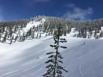 Skigebiet Mount Hood Ski Bowl © Mt Hood Ski Bowl