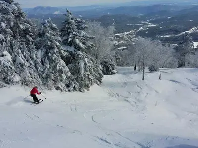 Traumhafte Abfahrten © Okemo Mountain Resort