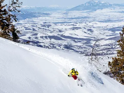 Skifahrer beim Tiefschneefahren am Powder Mountain © Powder Mountain, Foto: Ian Matteson