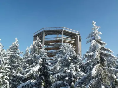 Der Lipno Treetop Walkway © LIPNO SERVIS s.r.o.