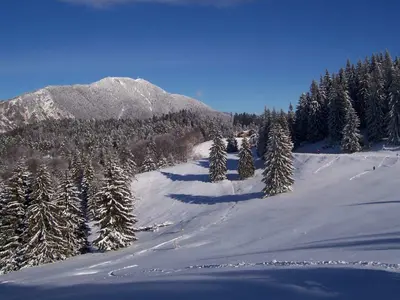 Sessellift © Andrei Dan Suciu via Wikimedia Commons