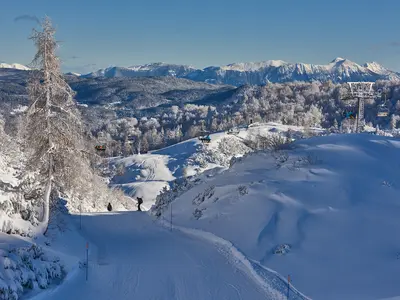 Winterlandschaft Vogel © Iztok Medja / slovenia.info