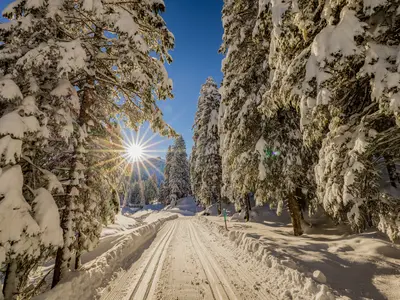 Loipe bei Malbun © Liechtenstein Marketing