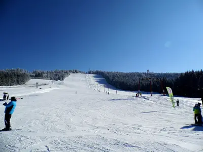 Blick auf eine Piste am Mehliskopf © Baden de, CC BY 3.0, via Wikimedia Commons