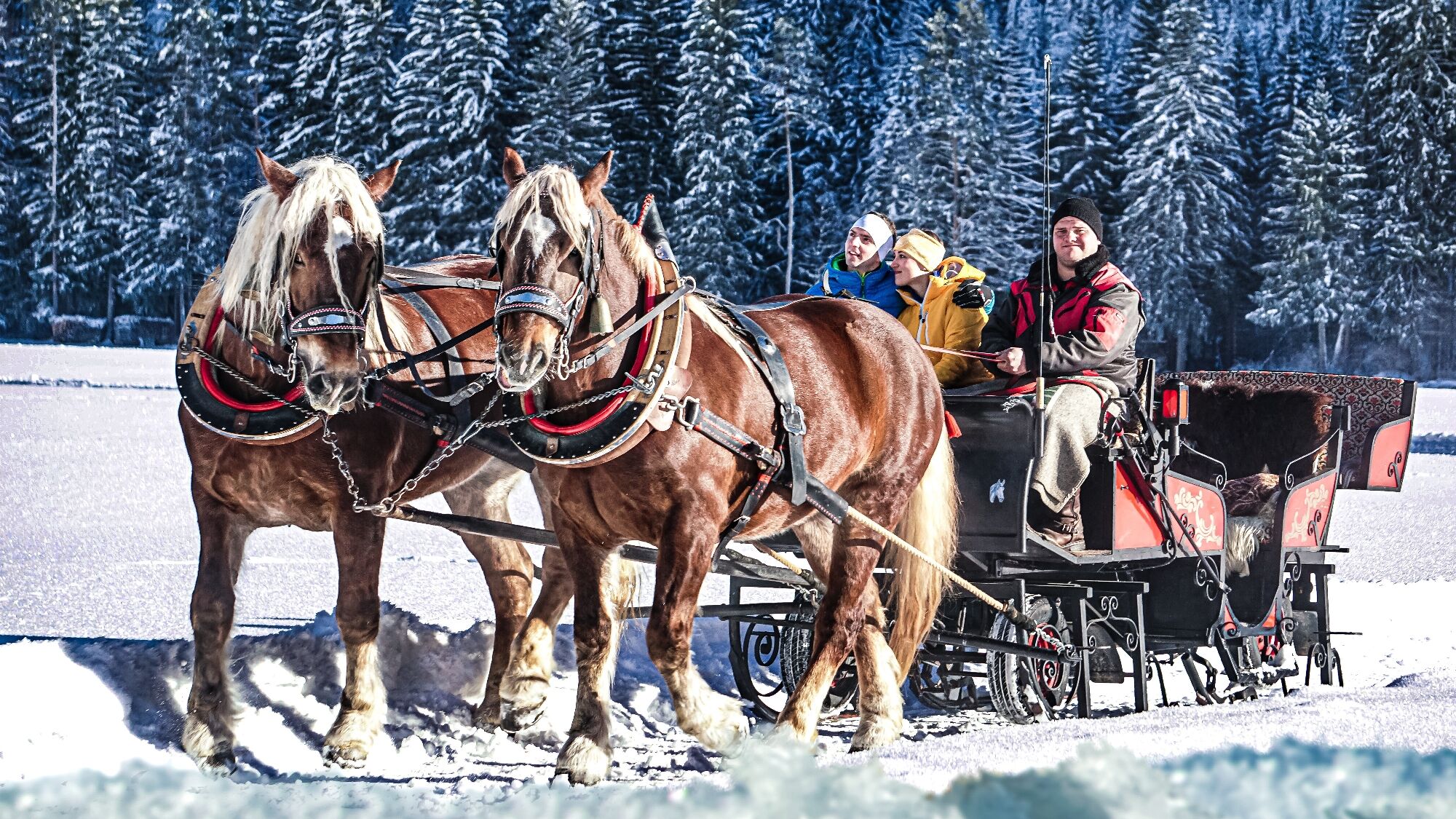 Kutschfahren in Holzgau