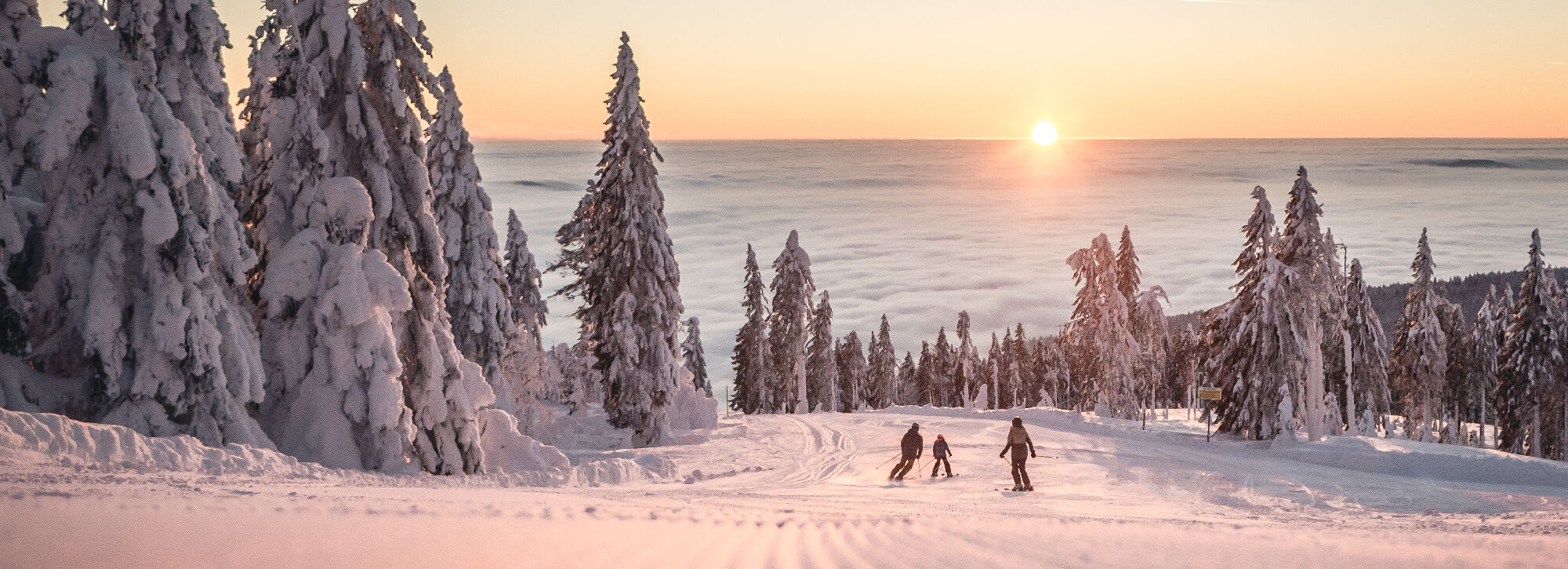 Skifahren am Hochficht im Böhmerwald in der Abendsonne