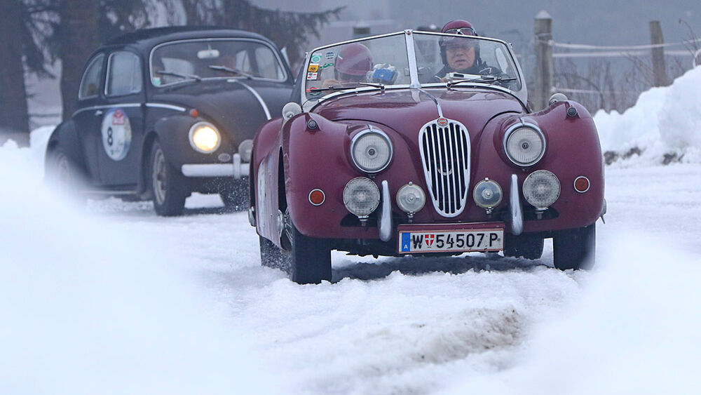 Sonderprüfung auf der Trabrennbahn Gröbimg