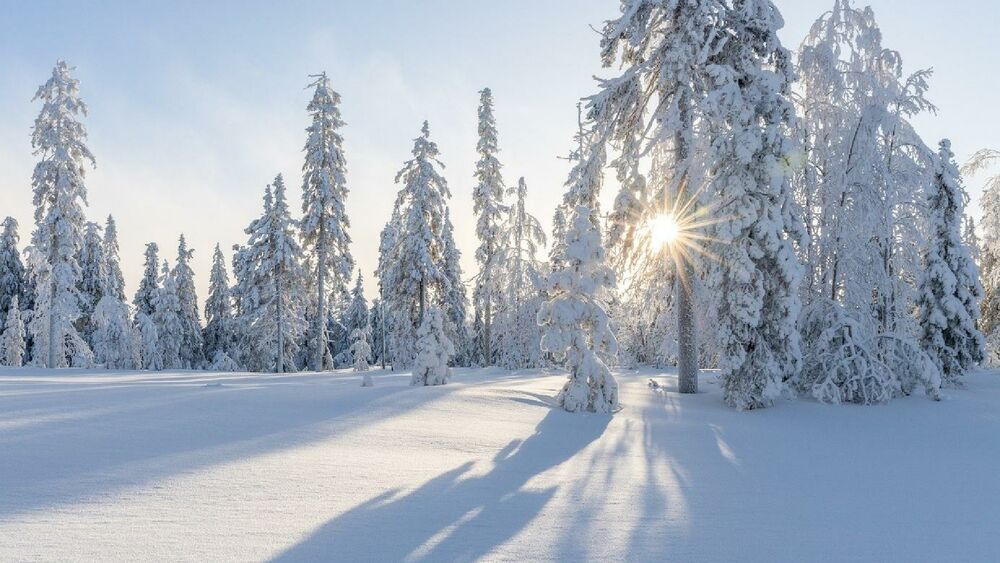 Winterlandschaft an der Maria Alm im Salzburger Land