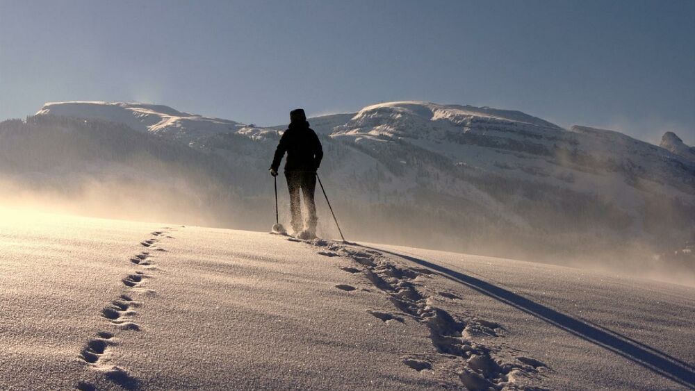 Winterwandern in der unberührten Natur in Maria Alm